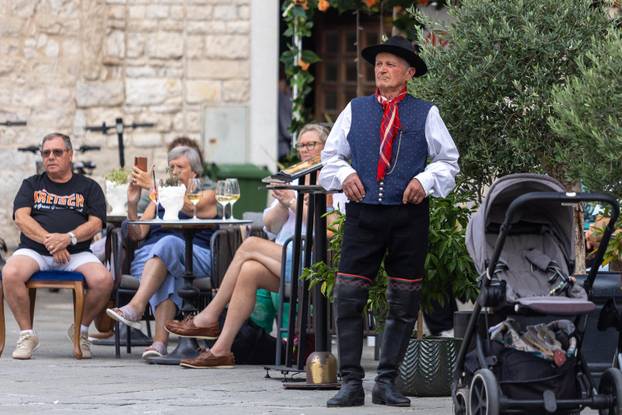 Više od 400 izvođača iz Slovenije nastupat će na Festivalu Slovenija u Puli