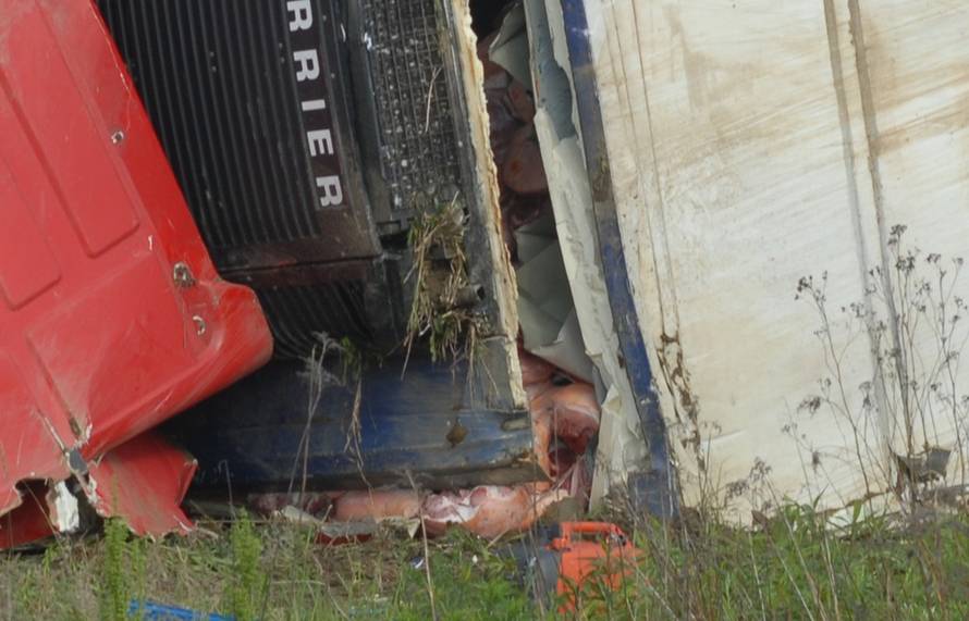 Anđelko Suhodolčan