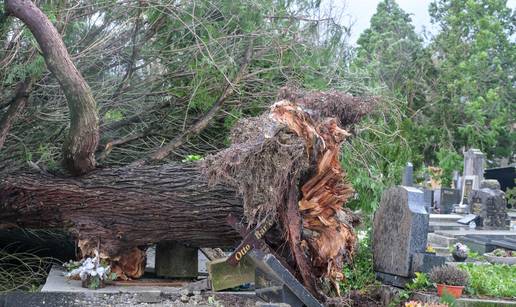 VIDEO Te&scaron;ka no&cacute; za vatrogasce; Ra&dstrok;enovi&cacute;: 'Na Mirogoju je 200 sru&scaron;enih stabala, ne dolazite'