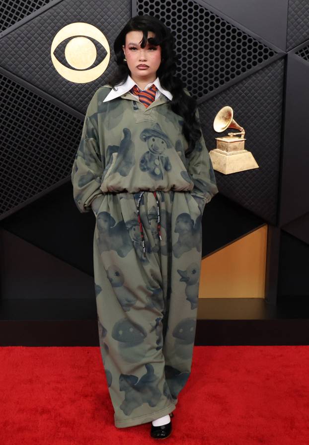 Premiere ceremony of the 68th Annual Grammy Awards in Los Angeles