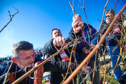 FOTO U Kašinskoj Sopnici održali ceremoniju kićenja trsa