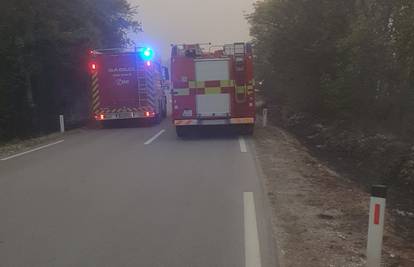 Maloljetnici u Šibeniku bacili opušak pa izazvali požar