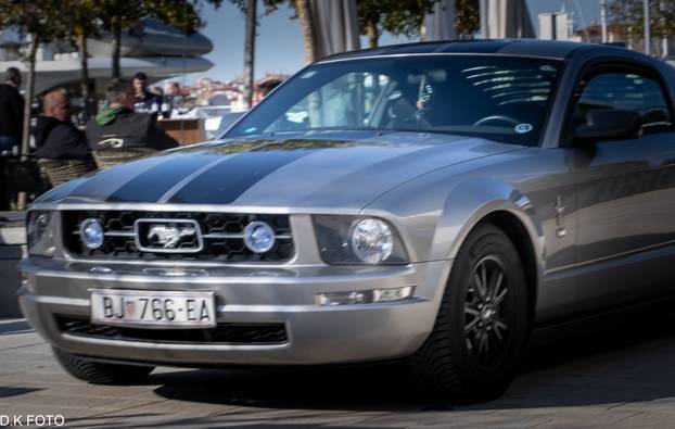 GALERIJA Kultni američki Mustanzi zablistali su u Rovinju