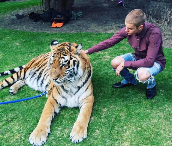 Naljutio  sve: Bieber na tatinoj zabavi mazio zavezanog tigra