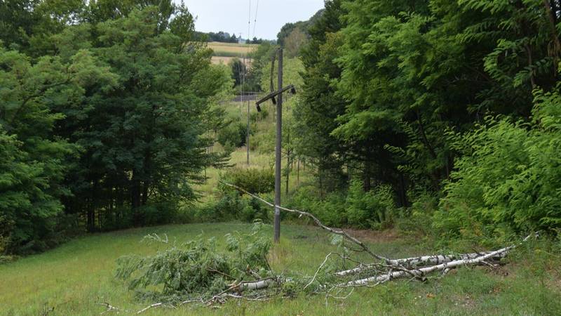 Rušio stablo u Međimurju pa ostavio 1200 kuća bez struje
