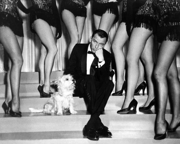 Sinatra, Frank - Singer, actor, USA - Scene from the movie 