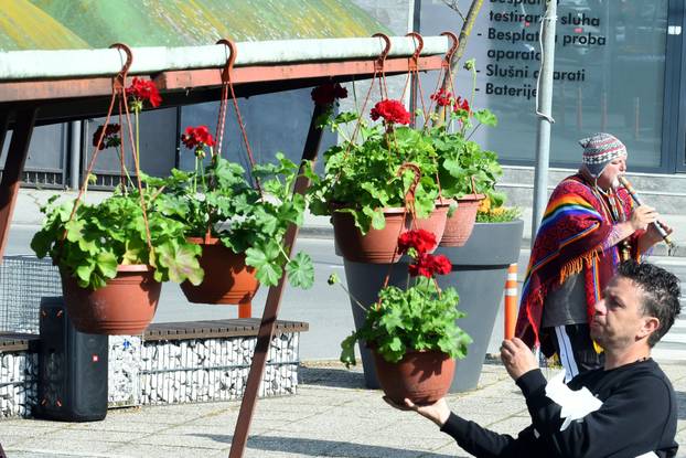 Sisak: Subotnja ponuda cvijećana tržnici