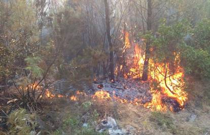 Lokalizirali požar na Korčuli, izgorjelo je 500 hektara šume