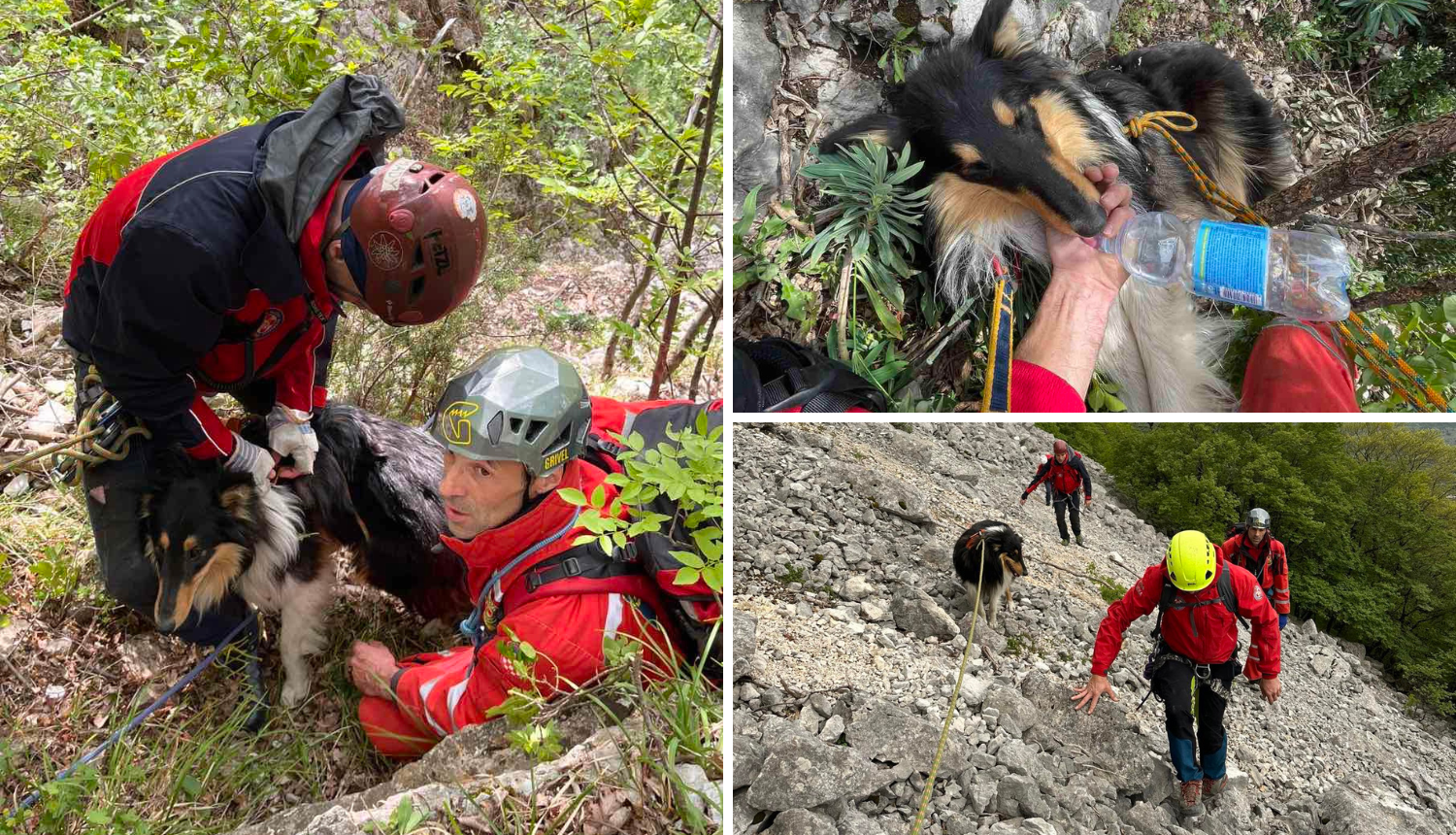 FOTO Riječki HGSS-ovci spasili psa koji se izgubio kod Brseča: Našli ga na dnu strme jaruge