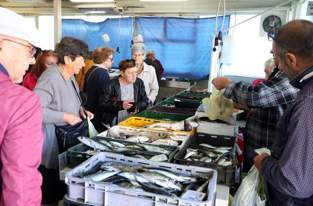 Šibenik: Ponuda ribe na šibenskoj ribarnici