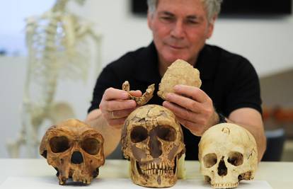U Izraelu našli kosti nepoznatog prethistorijskog čovjeka: U pitanju porijeklo neandertalca?