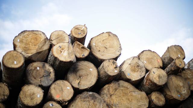 Iz šume u Josipdolu ukrali su drva u vrijednosti 70.000 kuna