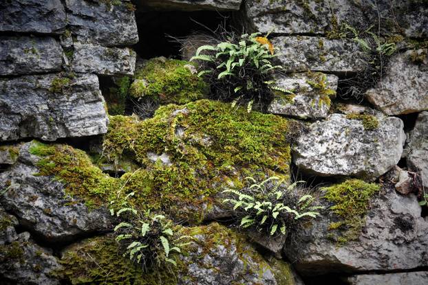 Vodice: Jesenja mističnost Ćićarije