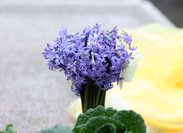 Šibenik: Raznolika ponuda na tržnici