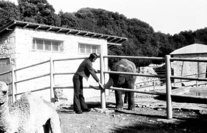 Dama Lanka slavi 52. rođendan: Maršalu Titu slonicu je darovala Indira Gandhi još 1974. godine