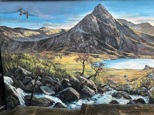 FOTO Umjetnik iscrtava murale na domovima: Pogledajte vrt na vanjskom zidu kuće!