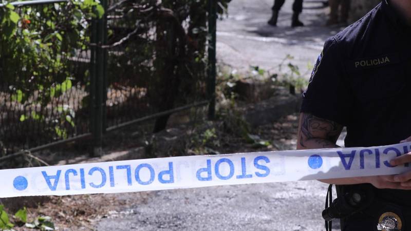 Slavonski moški priznal večkratno posilstvo živali