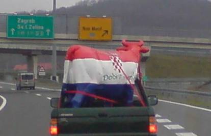 "Dobro jutro, Hrvatska", poručila je krava vozačima
