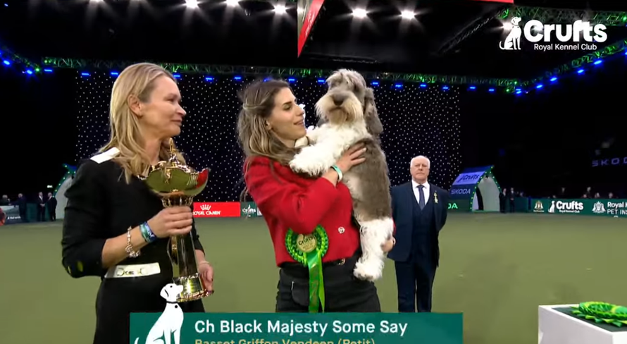 Naša Meghan, najljepši pas na svijetu, ušla u finale najveće i najstarije kraljevske izložbe!