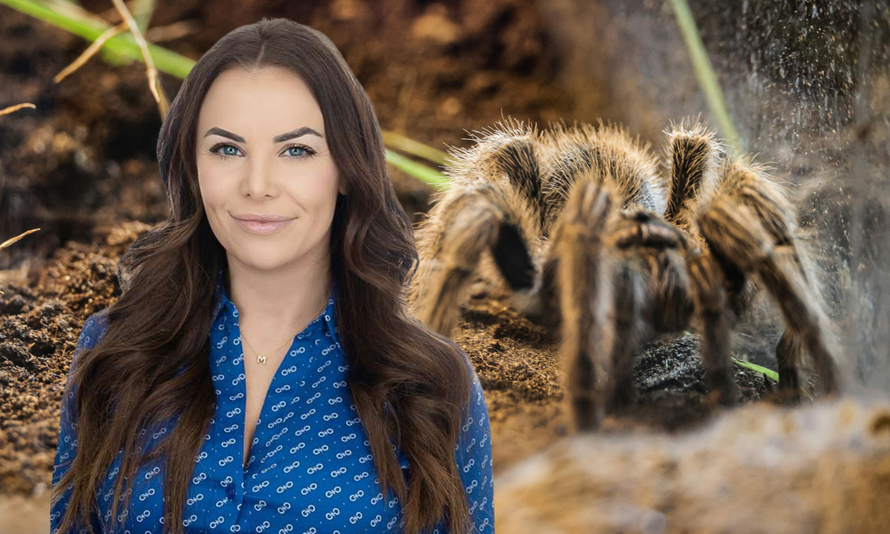 Kandidatkinja za američki Senat podstanarki bacila tarantulu da je istjera! Osuđena je za nasilje