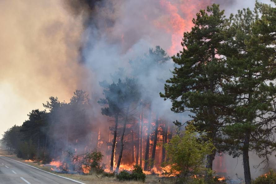 Zapalio travu uz prugu: Nisu mogli ugasiti vatru pa pobjegli