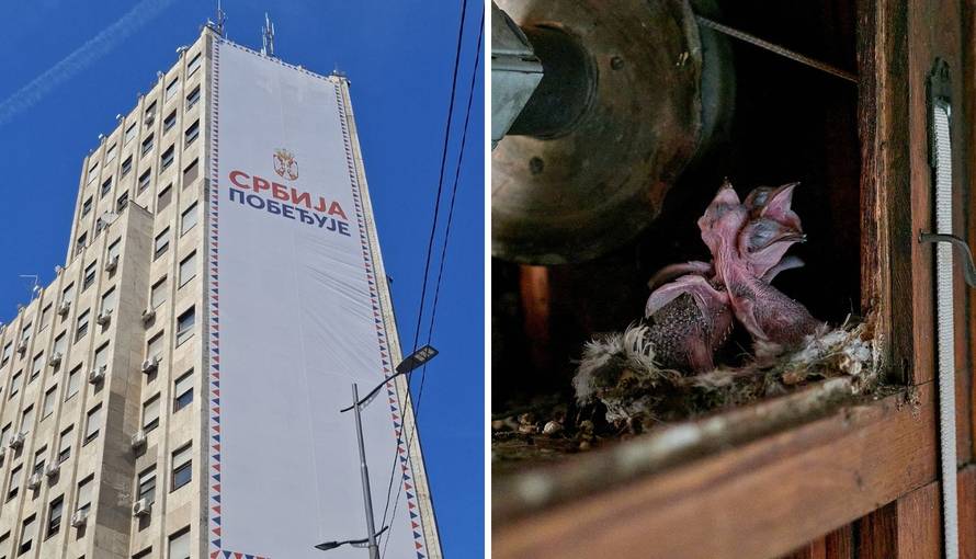 FOTO Potez Vučića i SNS-a ubija ugrožene ptice u Beogradu: 'Taj plakat odmah mora dolje!'