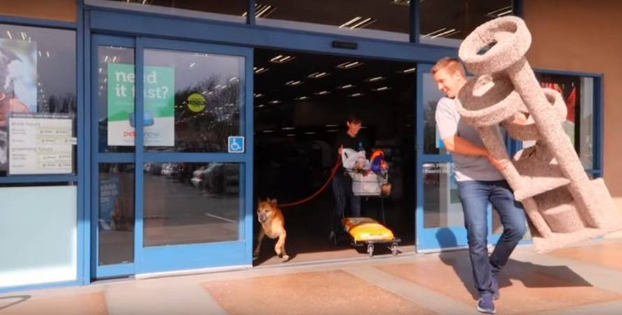 Napuštenom psu kupio sve što je dotaknuo i pronašao mu dom