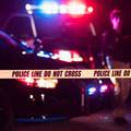 Horor u SAD-u: Pijana vozačica autom na dječjem rođendanu usmrtila sestru (8)  i brata (5)