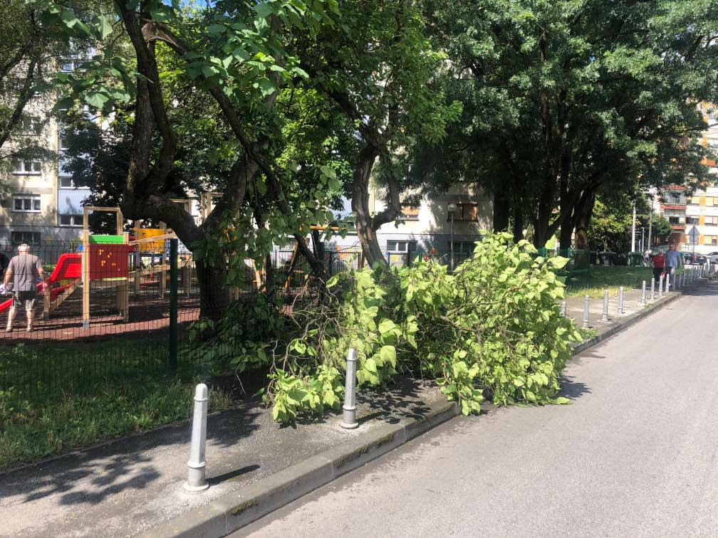 U Zagrebu i Splitu palo nekoliko stabala na ceste i aute, u Senju naleti bure od 153 km/h