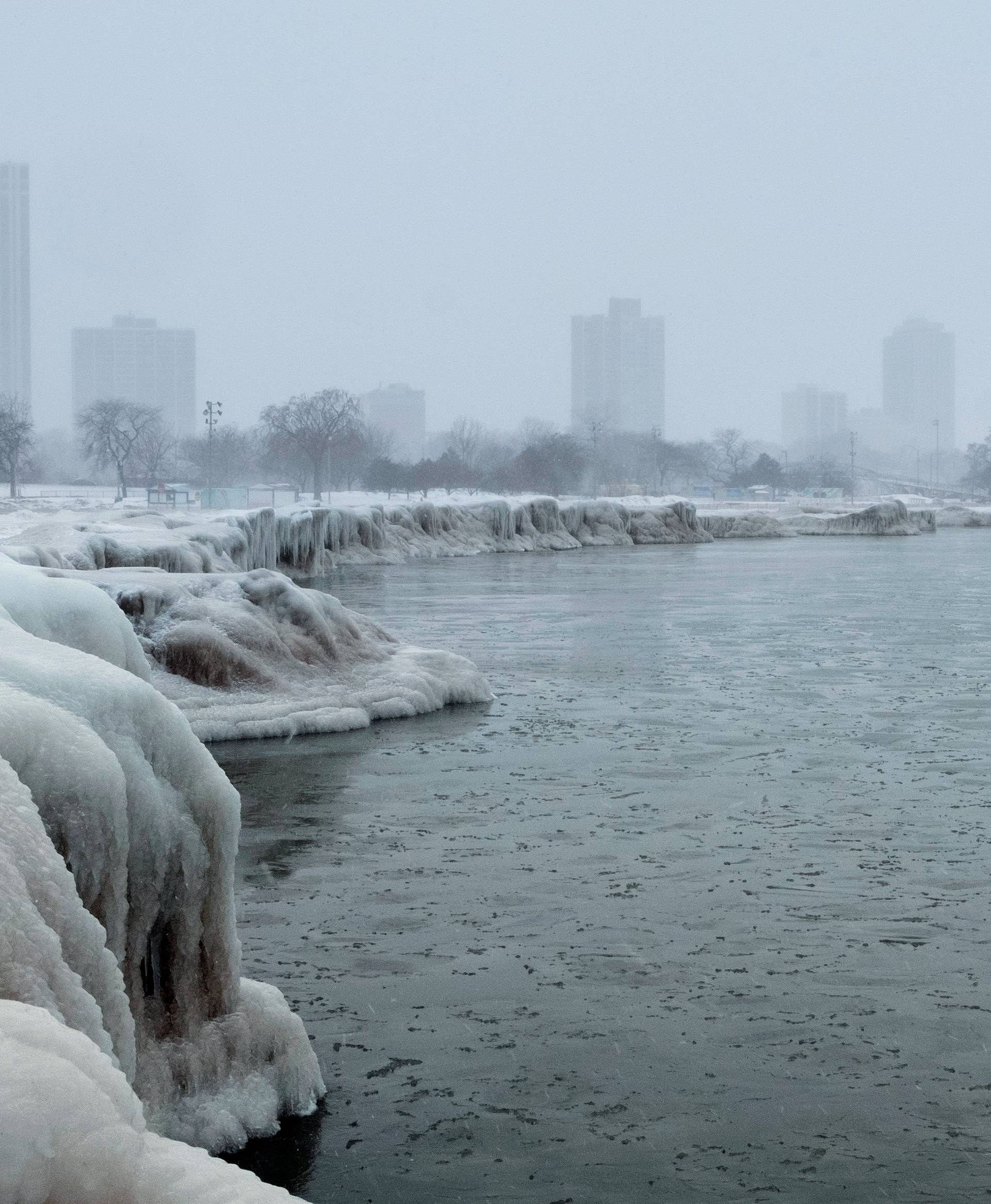 The city skyline is seen from the North Avenue Beach at Lake Michigan as bitter cold phenomenon called the polar vortex has descended on much of the central and eastern United States