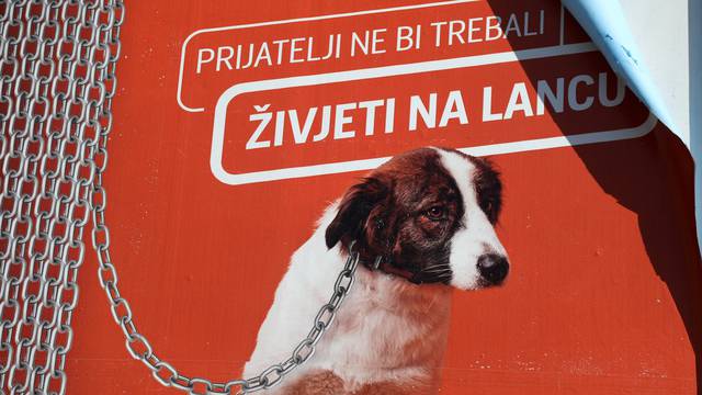 Peticiju za zabranu držanja psa na lancu potpisalo 40.000 ljudi