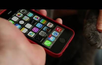 Pogledajte kako maca šapom otključava ekran iPhonea 5S