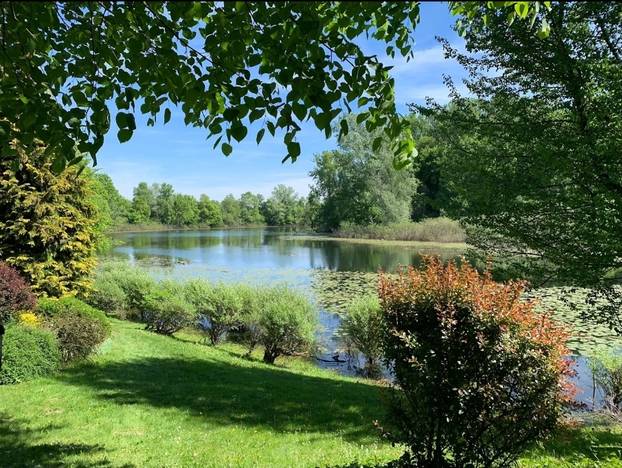 Savršeno mjesto za bijeg: Kuća na jezeru u srcu Lonjskog polja