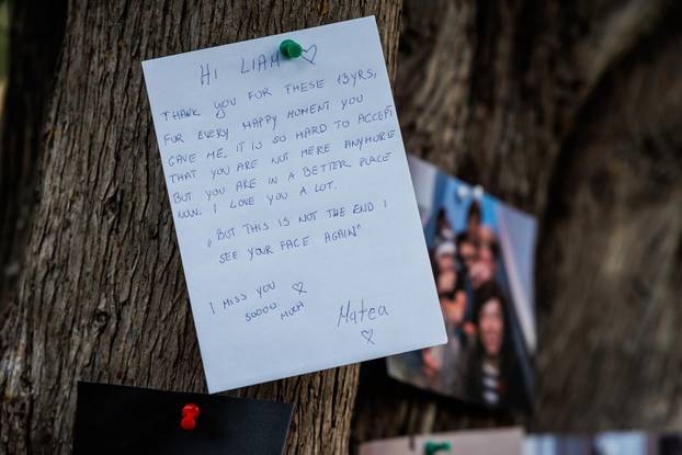 Split: Fanovi One Directiona održali memorijal u spomen na preminulog glazbenika Liama Paynea