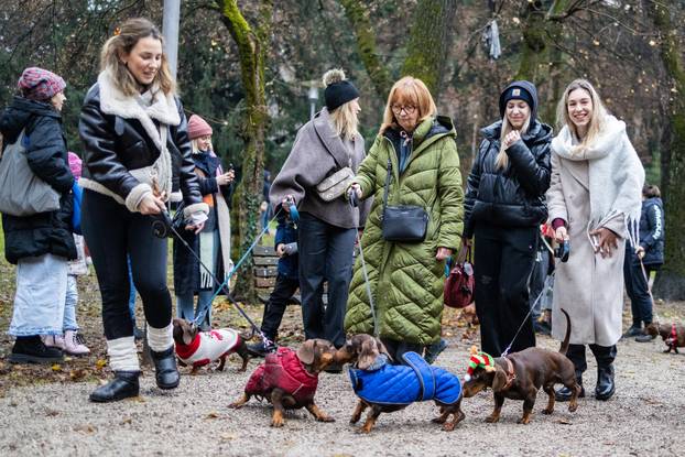 Zagreb: Adventska špica jazavčara 