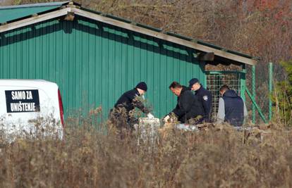 Vlasnica (61) skloništa koja je usmrtila pse završila u pritvoru 