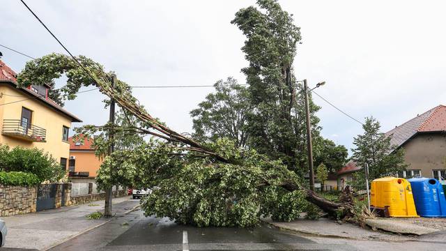 Zagreb: Novo nevrijeme napravilo novu štetu, u Voćarskoj ulici palo stablo
