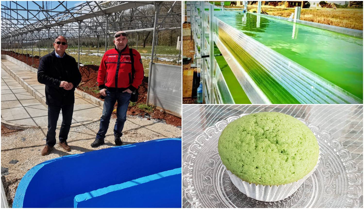 Poduzetnik Palokaj će u Istri uzgajati alge: One su budućnost u industriji pića i pekarstvu