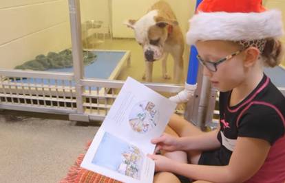 Preslatko: Djeca čitala priče napuštenim psima u azilu