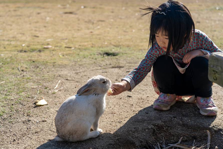 Neke ozbiljno 'čudne' stvari postoje samo u Japanu: Fetiš automati, kafići za maženje...