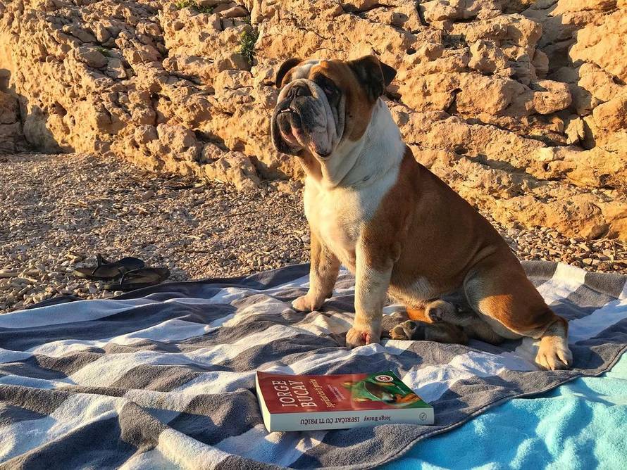 Ivana Paradžiković upozorila na ljetne opasnosti: Pazite na njih!