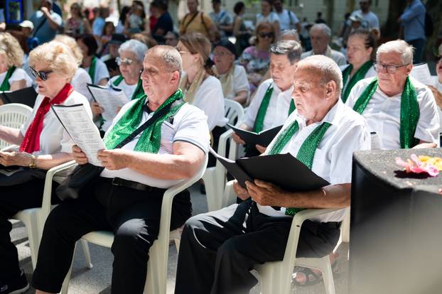 Zagreb: Ulični festival Cest is d'Best