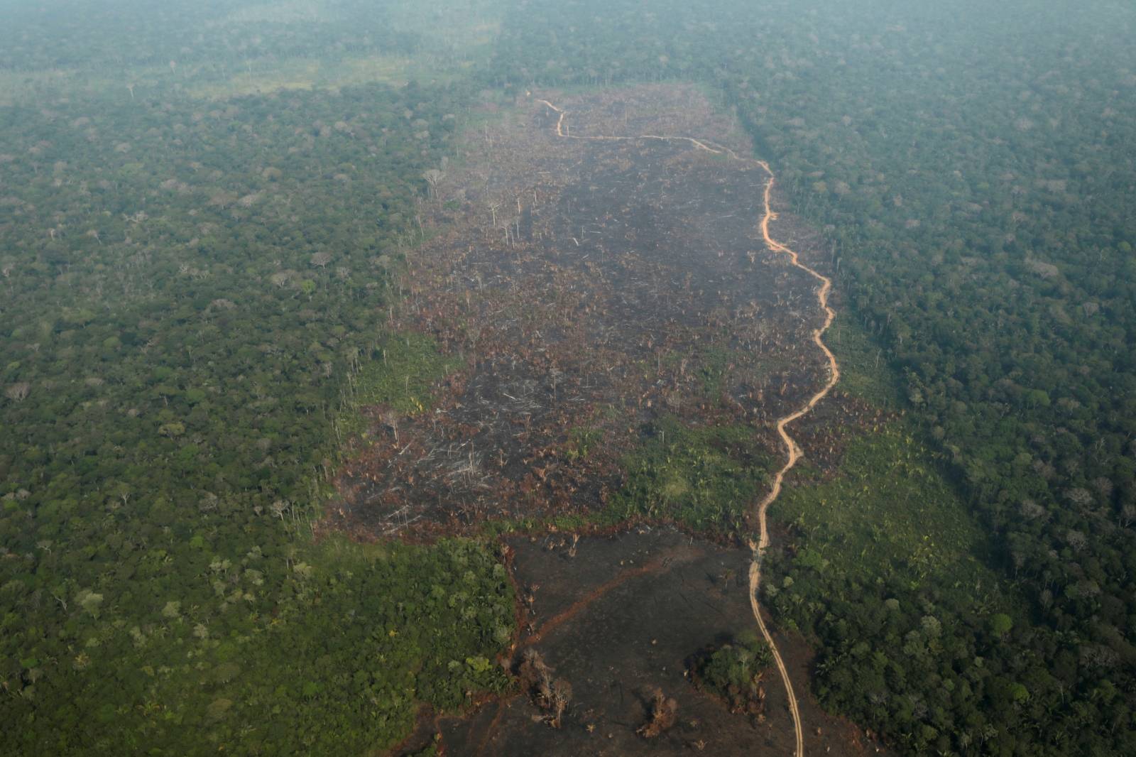 An aerial view of a deforested plot of the Amazon near Humaita