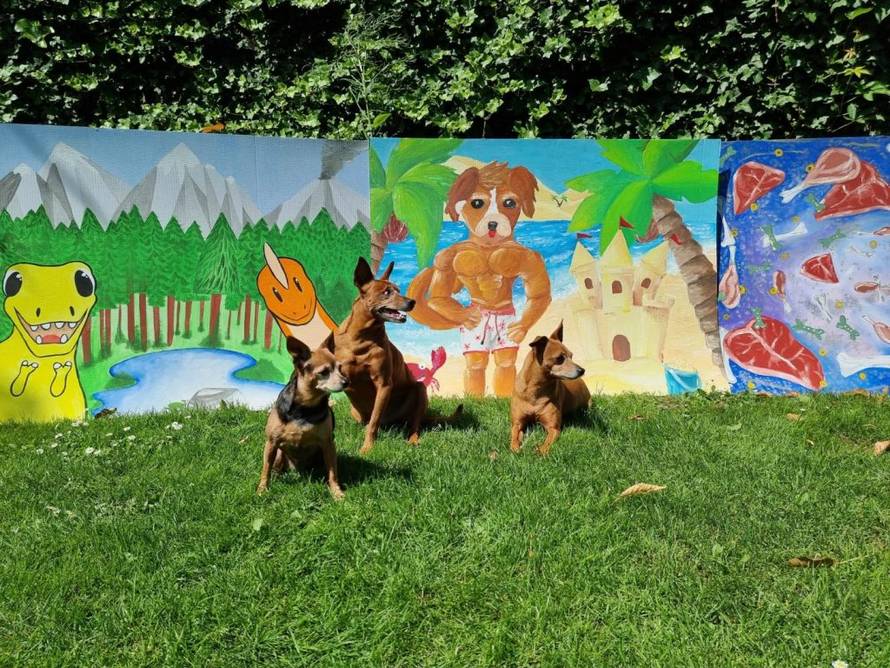 Street art umjetnost u Zaboku: U subotu počinje ZUK 2022.