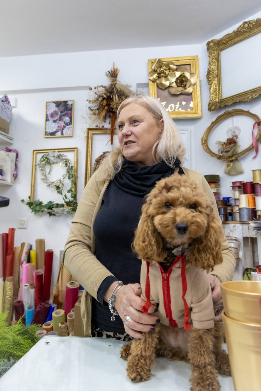 24sata: Pula: Pas pozira ispred cvjećarnice i glumi soba
