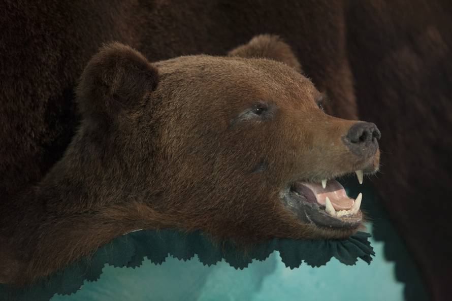 Nitko ne želi trofeje riječkog tajkuna: Djecu su užasavali...