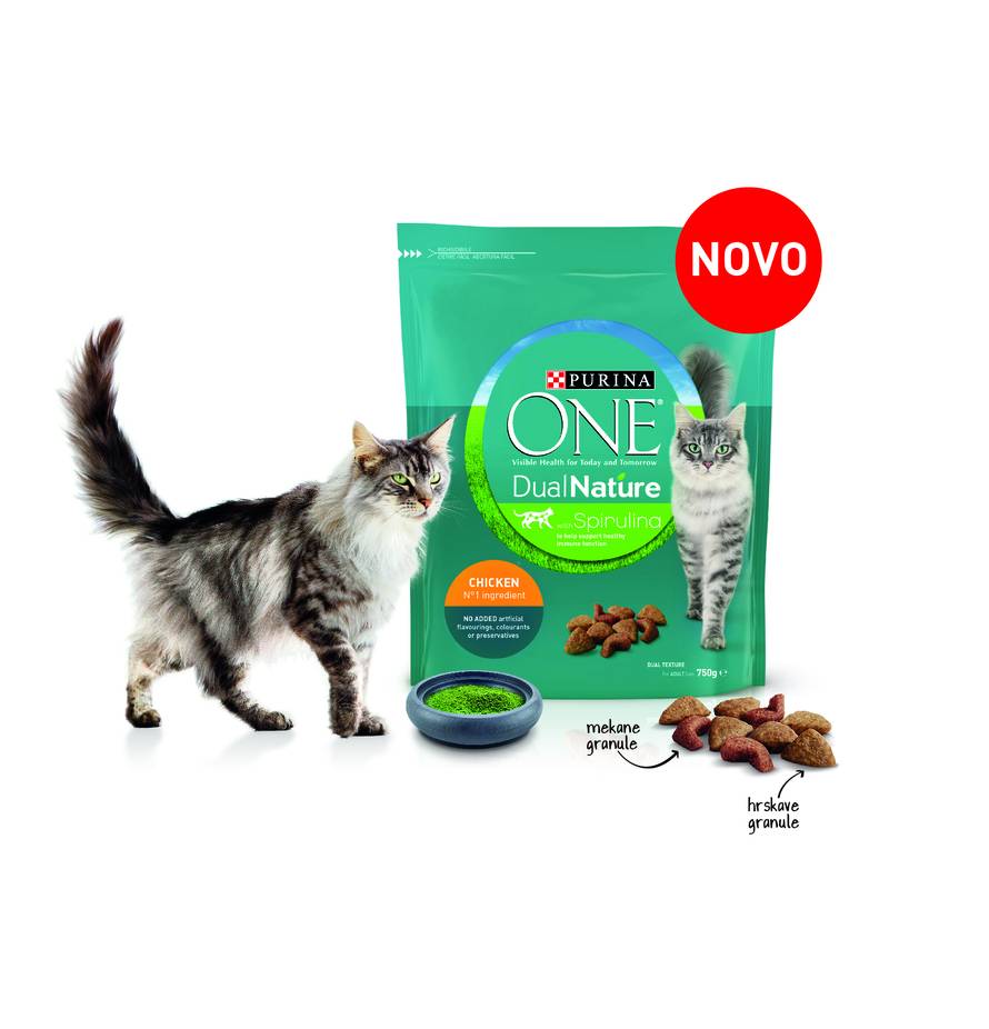 Što imaju zajedničko ljudi i mačke? I jedni i drugi moraju raditi na jačanju svog imuniteta