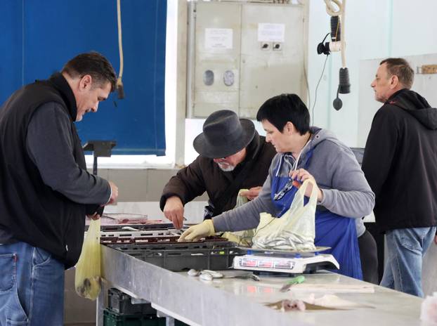 Šibenik: Skromna ponuda srdela i ostale ribe na ribarnici