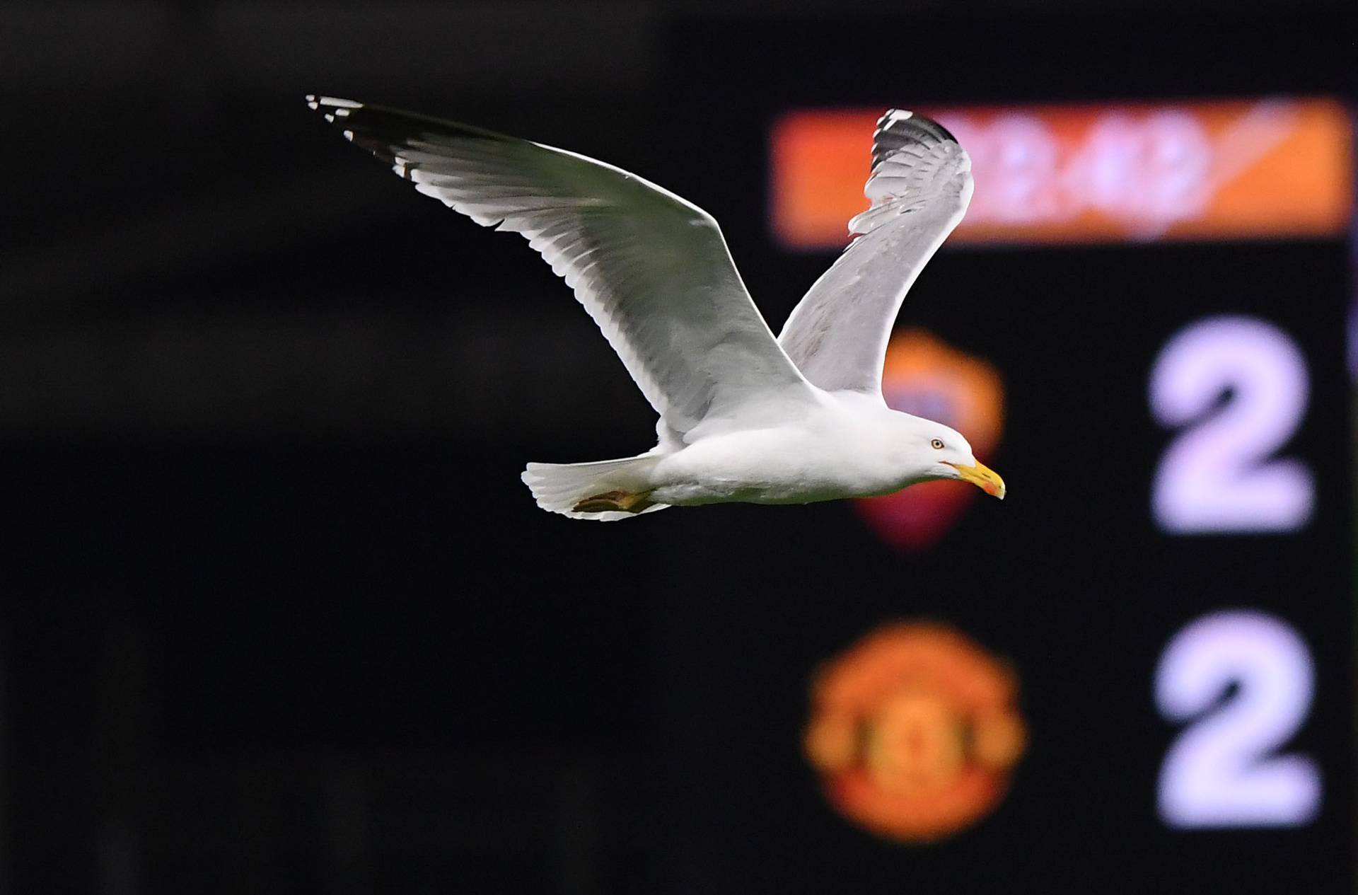 Europa League - Semi Final Second Leg - AS Roma v Manchester United