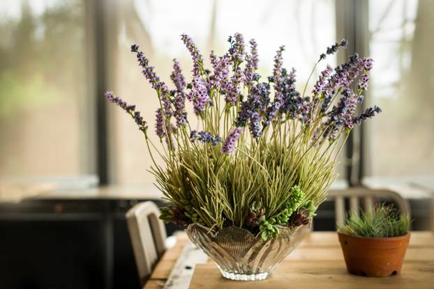 Purple flowers in glass vase on wooden table